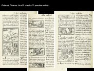 DupeyGarcia-Borbonicus2017-28.JPG