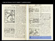 DupeyGarcia-Borbonicus2017-31.JPG