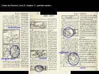 DupeyGarcia-Borbonicus2017-33.JPG
