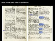 DupeyGarcia-Borbonicus2017-35.JPG