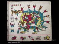 DupeyGarcia-Borbonicus2017-39.JPG