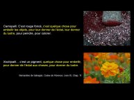 DupeyGarcia-Borbonicus2017-40.JPG