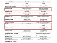 Domenici-Borbonicus 2017-08.JPG