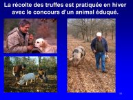 Sourzat-AnimalLove-14.JPG