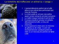 Sourzat-AnimalLove-15.JPG