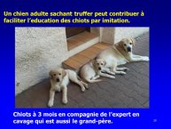 Sourzat-AnimalLove-35.JPG