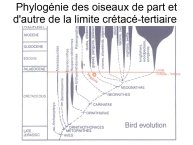 Delpoux-AnimalLove-05.jpg