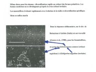 Delpoux-AnimalLove-07.jpg
