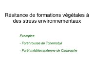 Delpoux-AnimalLove-15.jpg