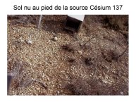 Delpoux-AnimalLove-22.jpg