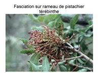 Delpoux-AnimalLove-23.jpg