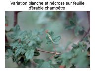 Delpoux-AnimalLove-24.jpg
