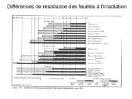 Delpoux-AnimalLove-26.jpg