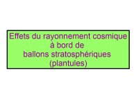 Delpoux-AnimalLove-29.jpg