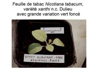 Delpoux-AnimalLove-31.jpg