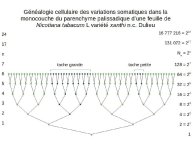 Delpoux-AnimalLove-32.jpg