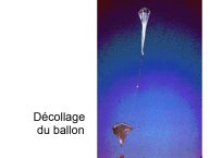 Delpoux-AnimalLove-34.jpg