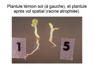 Delpoux-AnimalLove-45.jpg