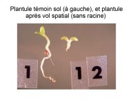 Delpoux-AnimalLove-46.jpg
