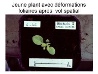 Delpoux-AnimalLove-48.jpg