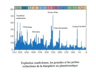 Delpoux-AnimalLove-52.jpg