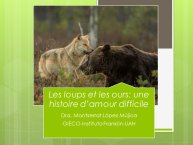 LopezMujica-AnimalLove-01.JPG