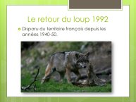 LopezMujica-AnimalLove-02.JPG