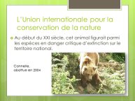 LopezMujica-AnimalLove-05.JPG
