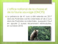 LopezMujica-AnimalLove-06.JPG