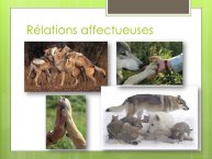 LopezMujica-AnimalLove-10.JPG