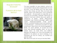 LopezMujica-AnimalLove-25.JPG