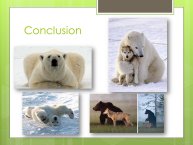 LopezMujica-AnimalLove-27.JPG