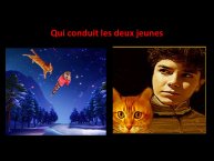 TrevisaniBach-AnimalLove-22.JPG