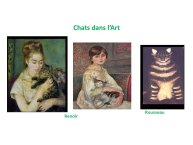 TrevisaniBach-AnimalLove-30.JPG