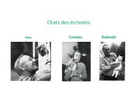 TrevisaniBach-AnimalLove-34.JPG