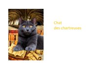 TrevisaniBach-AnimalLove-37.JPG