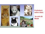 TrevisaniBach-AnimalLove-39.JPG