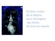 TrevisaniBach-AnimalLove-42.JPG