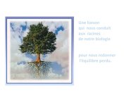 TrevisaniBach-AnimalLove-47.JPG