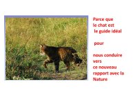 TrevisaniBach-AnimalLove-50.JPG
