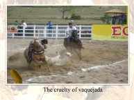 Zelia Bora-AnimalLove-04.jpg
