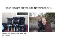 Slovic-Animal-Love-07.JPG