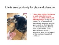 Slovic-Animal-Love-18.JPG