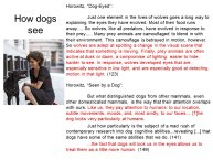 Slovic-Animal-Love-26.JPG