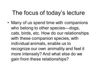 Slovic-Animal-Love-27.JPG