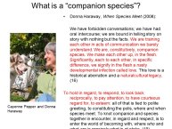 Slovic-Animal-Love-31.JPG