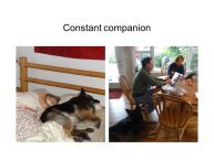 Slovic-Animal-Love-41.JPG
