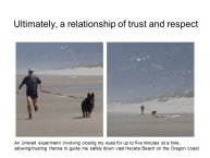 Slovic-Animal-Love-47.JPG