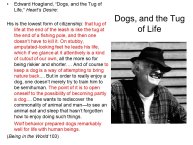 Slovic-Animal-Love-49.JPG