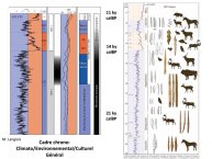 Langlais-Petillon-DerniereGlaciation-02.jpg